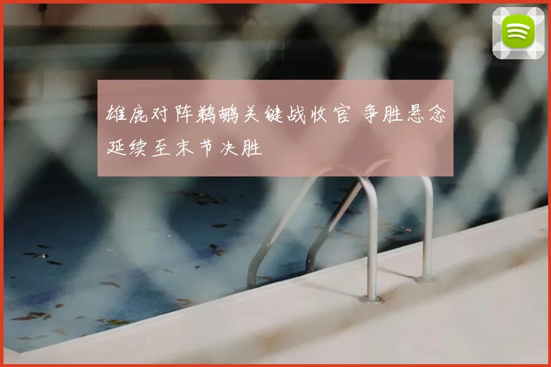 雄鹿对阵鹈鹕关键战收官 争胜悬念延续至末节决胜
