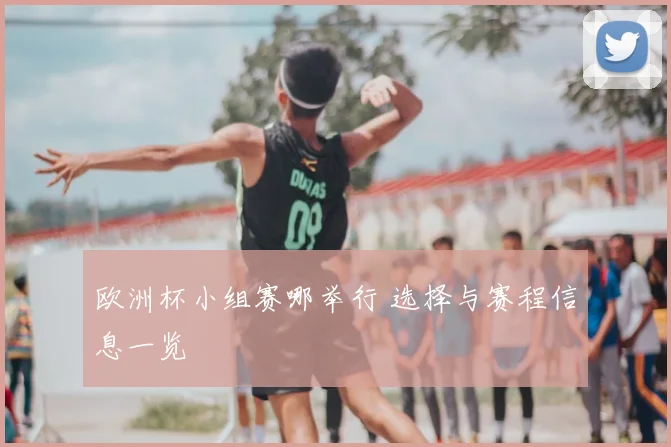 欧洲杯小组赛哪举行 选择与赛程信息一览